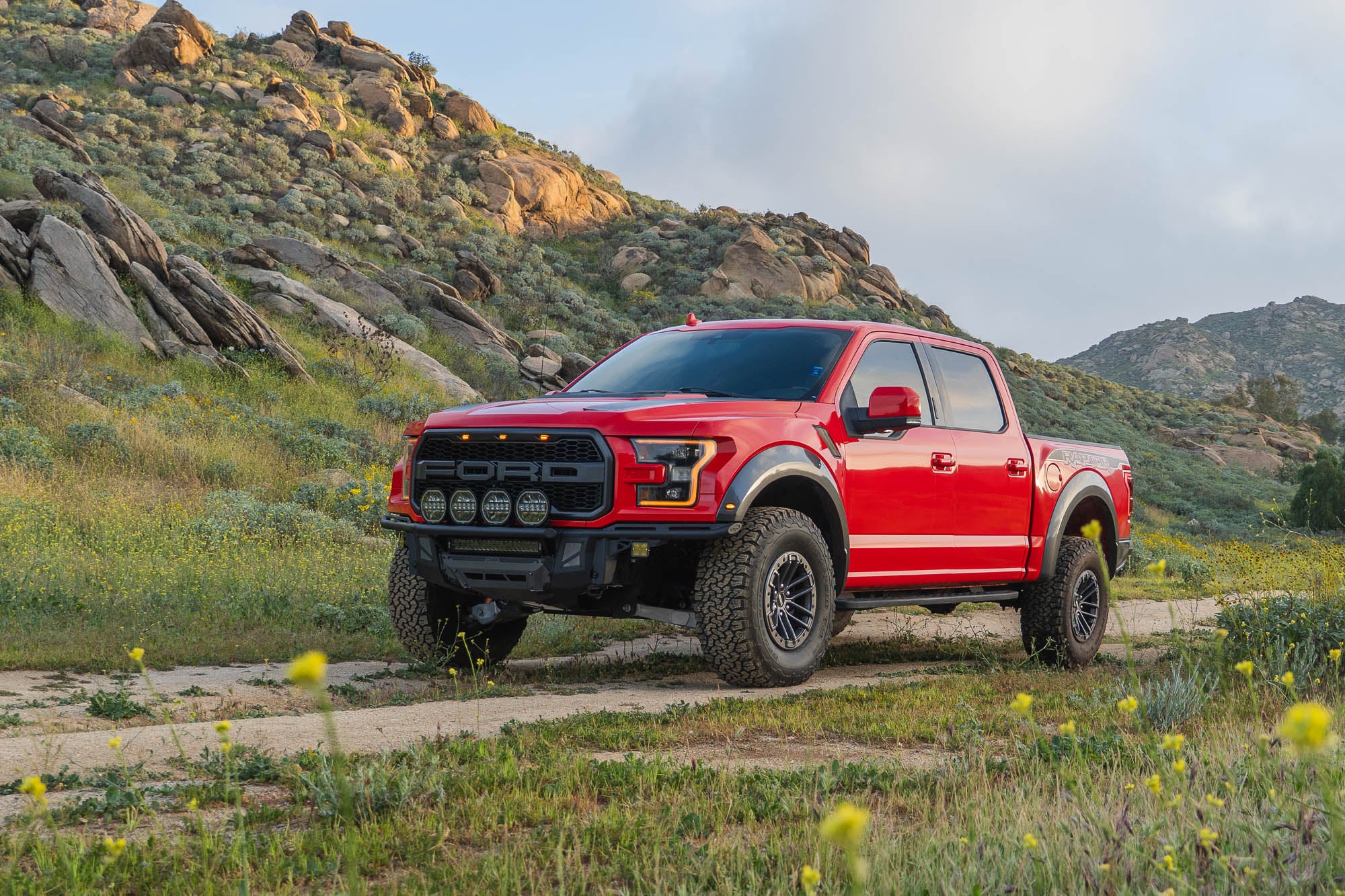 2017-2020 Ford F-150 Raptor Tube Front Bumper - Image 6