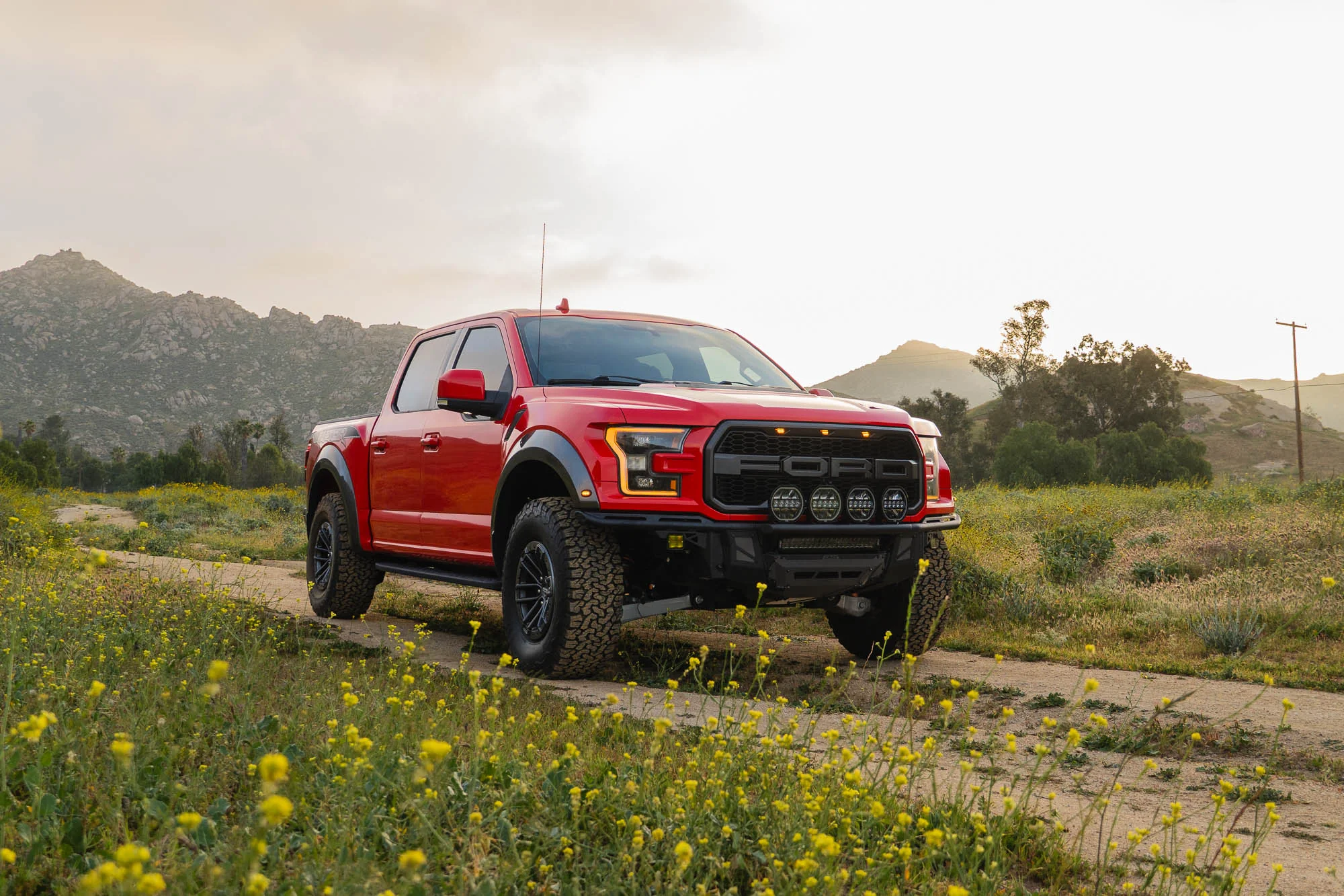 2017-2020 Ford F-150 Raptor Tube Front Bumper - Image 9