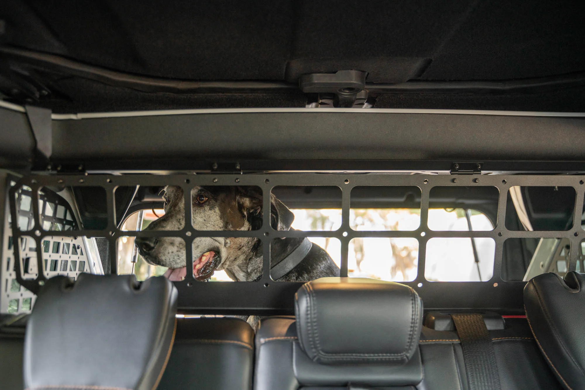2021-2024 Ford Bronco | Dog Barrier - Image 5