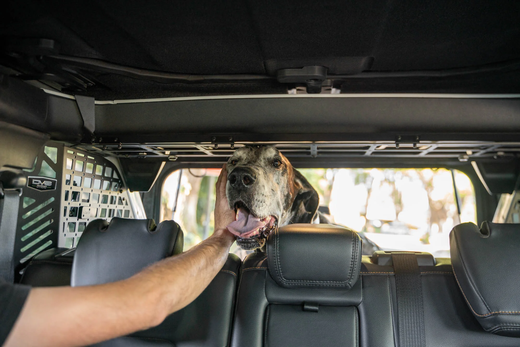 2021-2024 Ford Bronco | Dog Barrier - Image 6