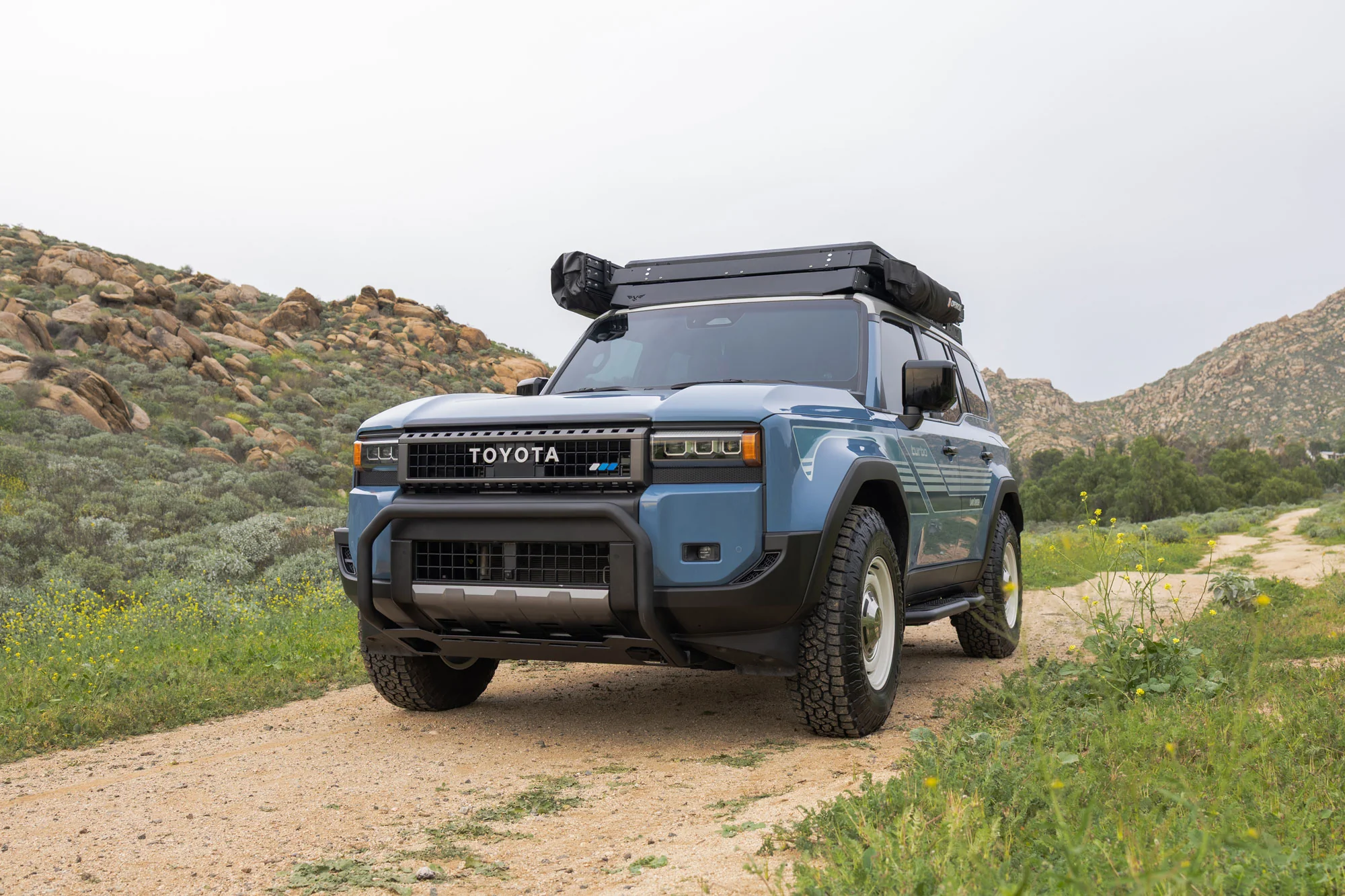 2024-2026 Toyota Land Cruiser Brush Guard - Image 12