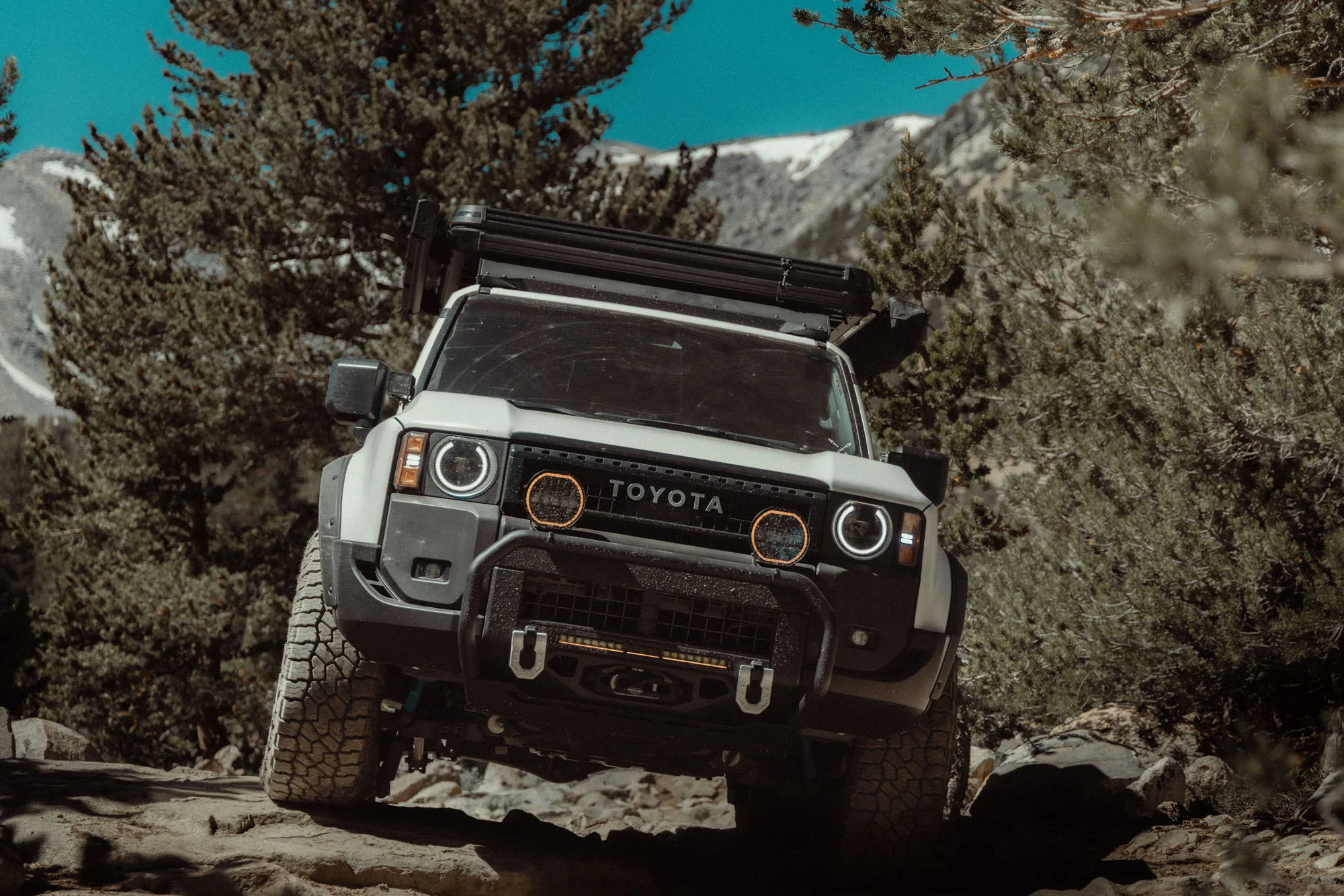 2024-2026 Toyota Land Cruiser Brush Guard - Image 9