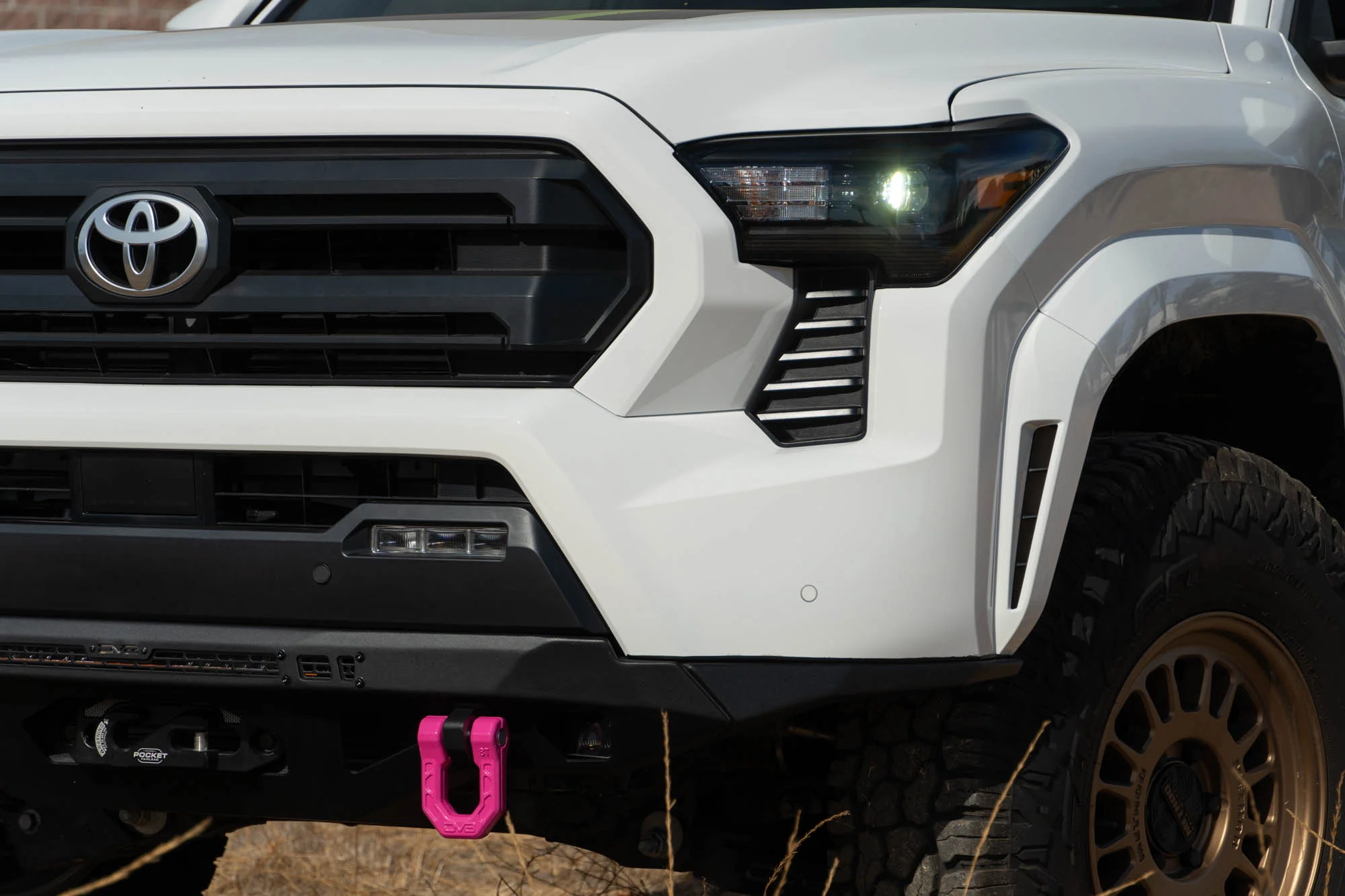 Elite Series 3/4" D-Ring Shackles | Pair - Image 9